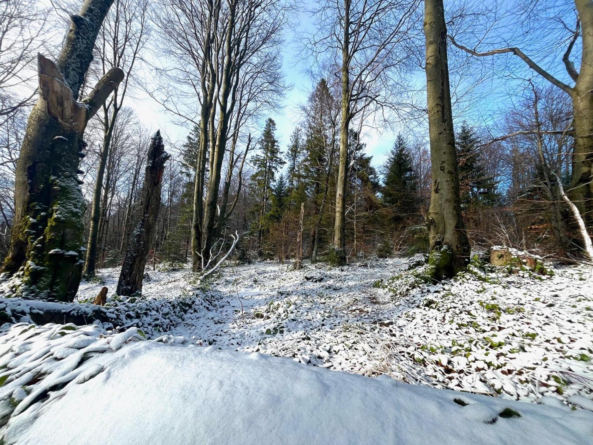 Domki Caloroczne Domkowstwo Bobrka Exterior foto